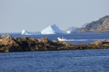 Purcell's Harbour, NL June 16/16 Newfoundland Iceberg Reports
